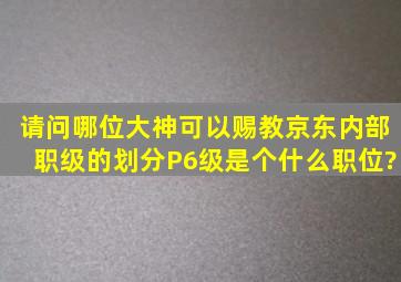 请问哪位大神可以赐教京东内部职级的划分,P6级是个什么职位?