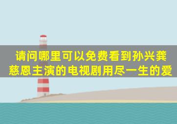 请问哪里可以免费看到孙兴龚慈恩主演的电视剧《用尽一生的爱》(