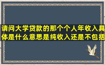 请问大学贷款的那个个人年收入具体是什么意思,是纯收入还是不包括...