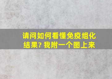 请问如何看懂免疫组化结果? 我附一个图上来