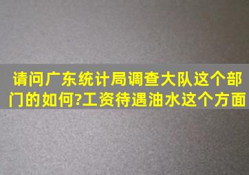 请问广东统计局调查大队这个部门的如何?工资待遇油水这个方面。