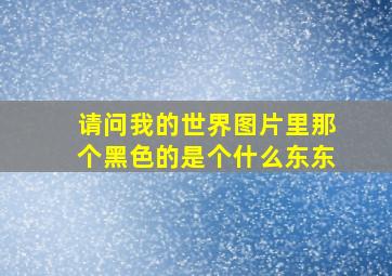 请问我的世界图片里那个黑色的是个什么东东(