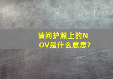 请问护照上的NOV是什么意思?