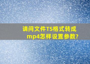 请问文件TS格式转成mp4怎样设置参数?