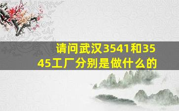 请问武汉3541和3545工厂分别是做什么的