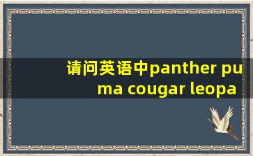 请问英语中panther puma cougar leopard jaguar的区别是什么