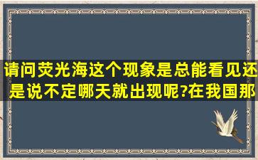 请问荧光海这个现象是总能看见还是说不定哪天就出现呢?在我国那个...