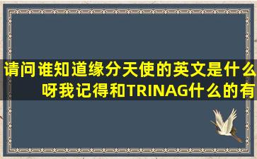 请问谁知道缘分天使的英文是什么呀(我记得和TRINAG什么的有点象.急