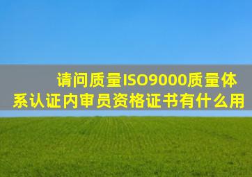 请问质量ISO9000质量体系认证内审员资格证书有什么用