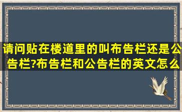 请问贴在楼道里的叫布告栏还是公告栏?布告栏和公告栏的英文怎么...