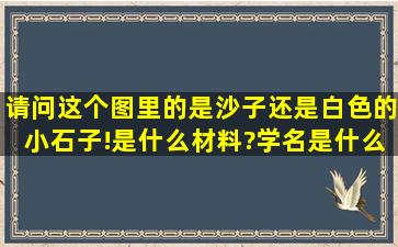 请问这个图里的是沙子还是白色的小石子!是什么材料?学名是什么?