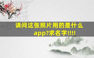 请问这张照片用的是什么app?求名字!!!!