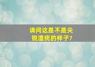 请问这是不是尖锐湿疣的样子?