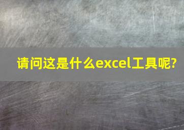 请问这是什么excel工具呢?