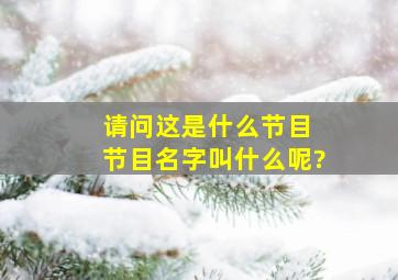 请问这是什么节目 节目名字叫什么呢?