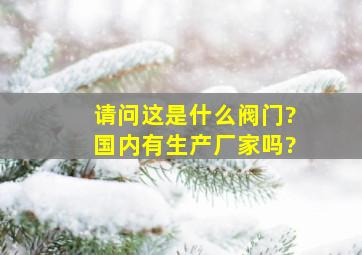 请问这是什么阀门?国内有生产厂家吗?