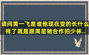 请问黄一飞是谁。。他现在变的长什么样了,就是跟周星驰合作拍少林...