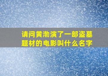 请问黄渤演了一部盗墓题材的电影叫什么名字