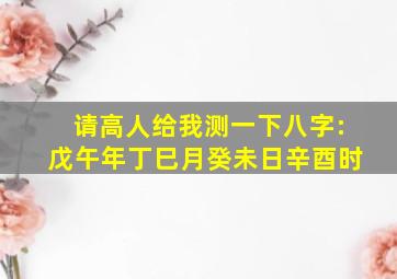 请高人给我测一下八字:戊午年、丁巳月、癸未日、辛酉时