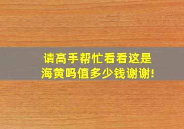 请高手帮忙看看这是海黄吗,值多少钱,谢谢!