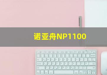 诺亚舟NP1100