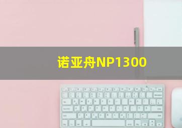 诺亚舟NP1300