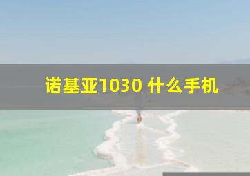 诺基亚1030 什么手机