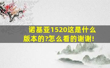 诺基亚1520这是什么版本的?怎么看的,谢谢!