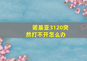 诺基亚3120突然打不开怎么办 