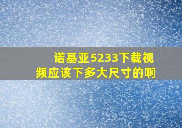 诺基亚5233下载视频应该下多大尺寸的啊