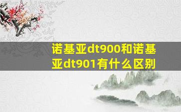 诺基亚dt900和诺基亚dt901有什么区别