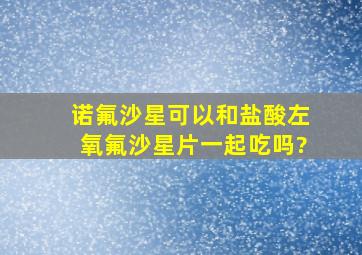 诺氟沙星可以和盐酸左氧氟沙星片一起吃吗?