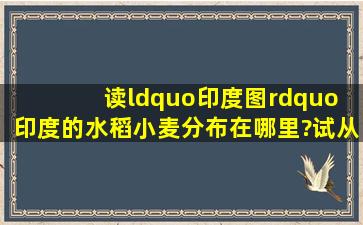 读“印度图” 印度的水稻、小麦分布在哪里?试从地形、气候两方面...