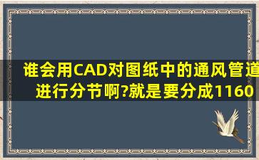 谁会用CAD对图纸中的通风管道进行分节啊?就是要分成1160一节的。...