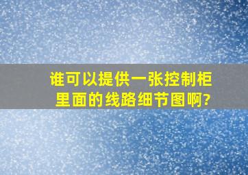 谁可以提供一张控制柜里面的线路细节图啊?