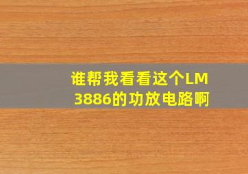 谁帮我看看这个LM3886的功放电路啊(