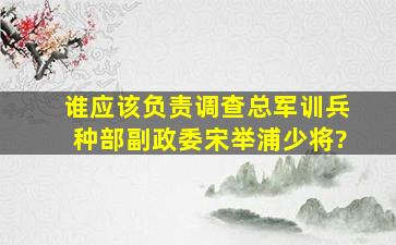 谁应该负责调查总军训兵种部副政委宋举浦少将?