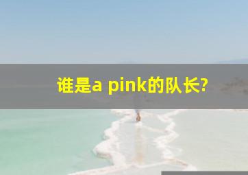 谁是a pink的队长?