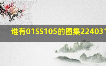 谁有01SS105的图集2240312491