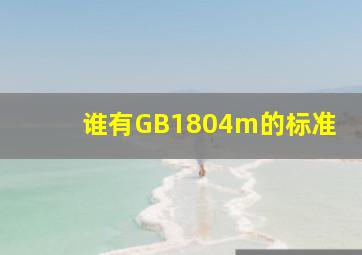 谁有GB1804m的标准