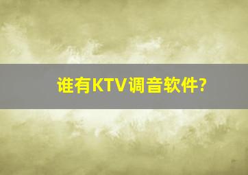 谁有KTV调音软件?