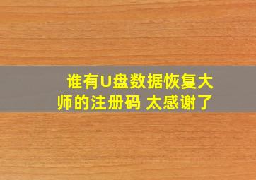 谁有U盘数据恢复大师的注册码 太感谢了