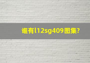 谁有l12sg409图集?