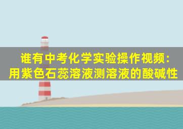 谁有中考化学实验操作视频:用紫色石蕊溶液测溶液的酸碱性