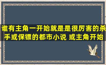 谁有主角一开始就是是很厉害的杀手或保镖的都市小说 或主角开始就...