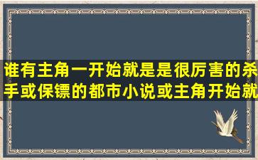 谁有主角一开始就是是很厉害的杀手或保镖的都市小说或主角开始就...