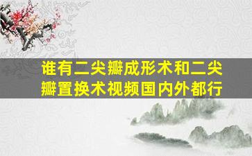 谁有二尖瓣成形术和二尖瓣置换术视频国内外都行