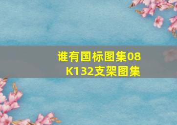 谁有国标图集08K132支架图集