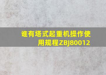 谁有塔式起重机操作使用规程ZBJ80012