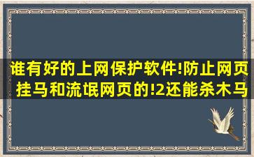 谁有好的上网保护软件!防止网页挂马和流氓网页的!2还能杀木马和